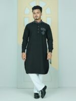 ELEGANT KABLI DESIGN PANJABI CODE-KP01 - Image 3