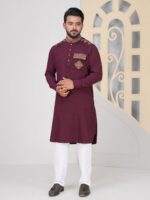 ELEGANT KABLI DESIGN PANJABI CODE-KP03 - Image 3